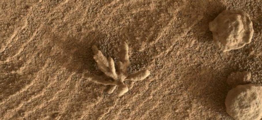 Le rover Curiosity rapporte une superbe photo d’une “fleur” sur Mars