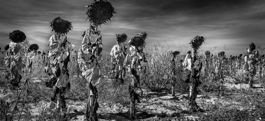Les Sony World Photography Awards dévoilent les 10 photos gagnantes dont Vicente Ansola, Espagne Vainqueur catégorie paysage