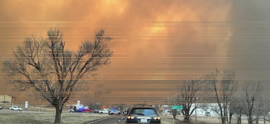 USA: Un feu de forêt contraint une usine nucléaire à la fermeture au Texas  