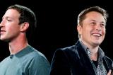 Elon Musk (Twitter) et Mark Zuckerberg (Facebook) s’affrontent bientôt en Italie 