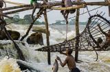 Pêche : le potentiel halieutique de la RDC exploité à 35 %