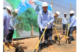 En marge de la journée nationale de l’arbre, le CEO lance la campagne « Pour une TFM verte, plantons chacun un arbre »