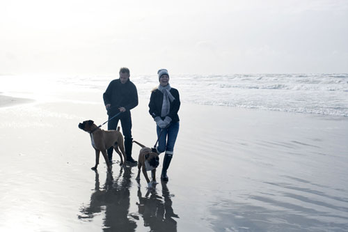 Tur p stranden med hund